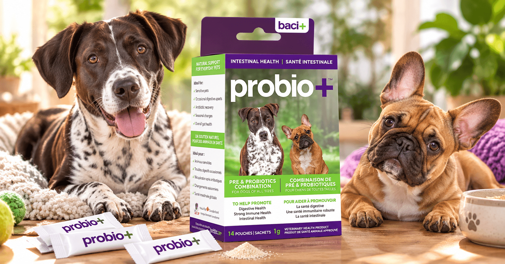 Essayez gratuitement le supplément probiotique Vivoflora pour chiens et chats