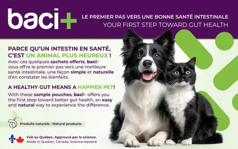 Essayez gratuitement probio+ Vivoflora de Baci+ pour le bien-être digestif de votre animal