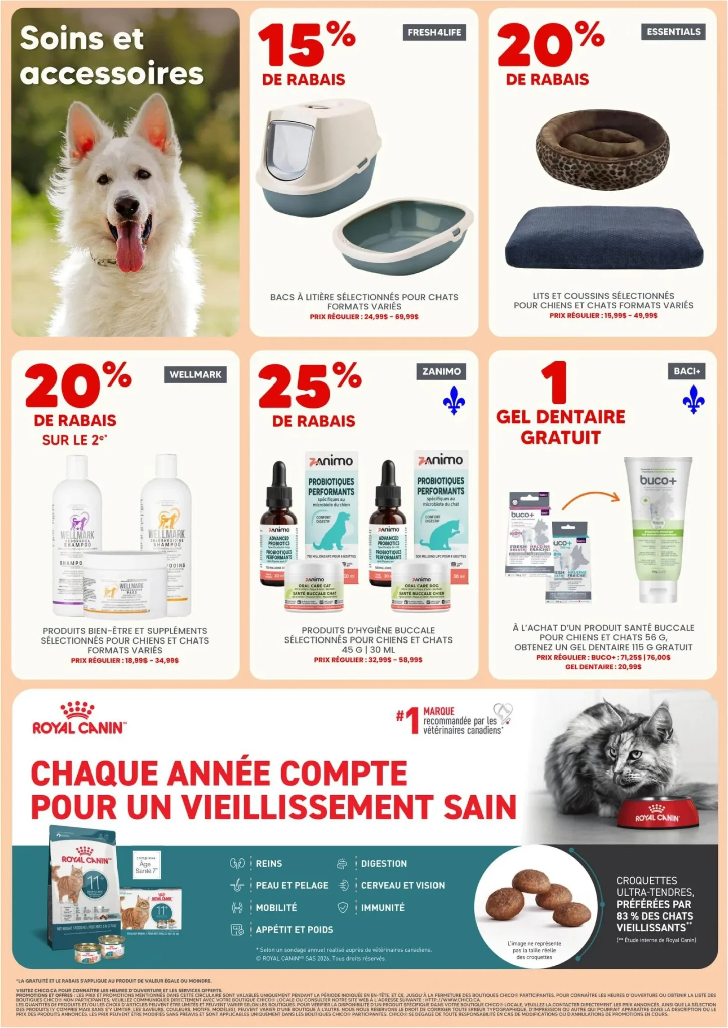 Page 3 de la circulaire Chico