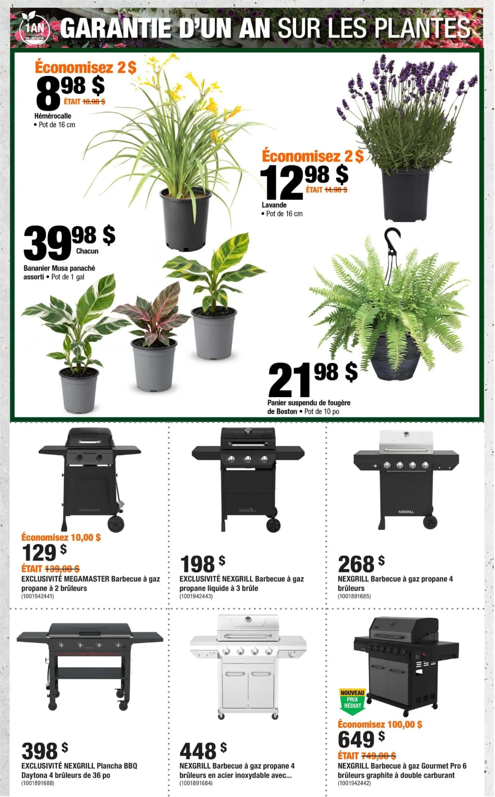 Page 5 de la circulaire Home Depot