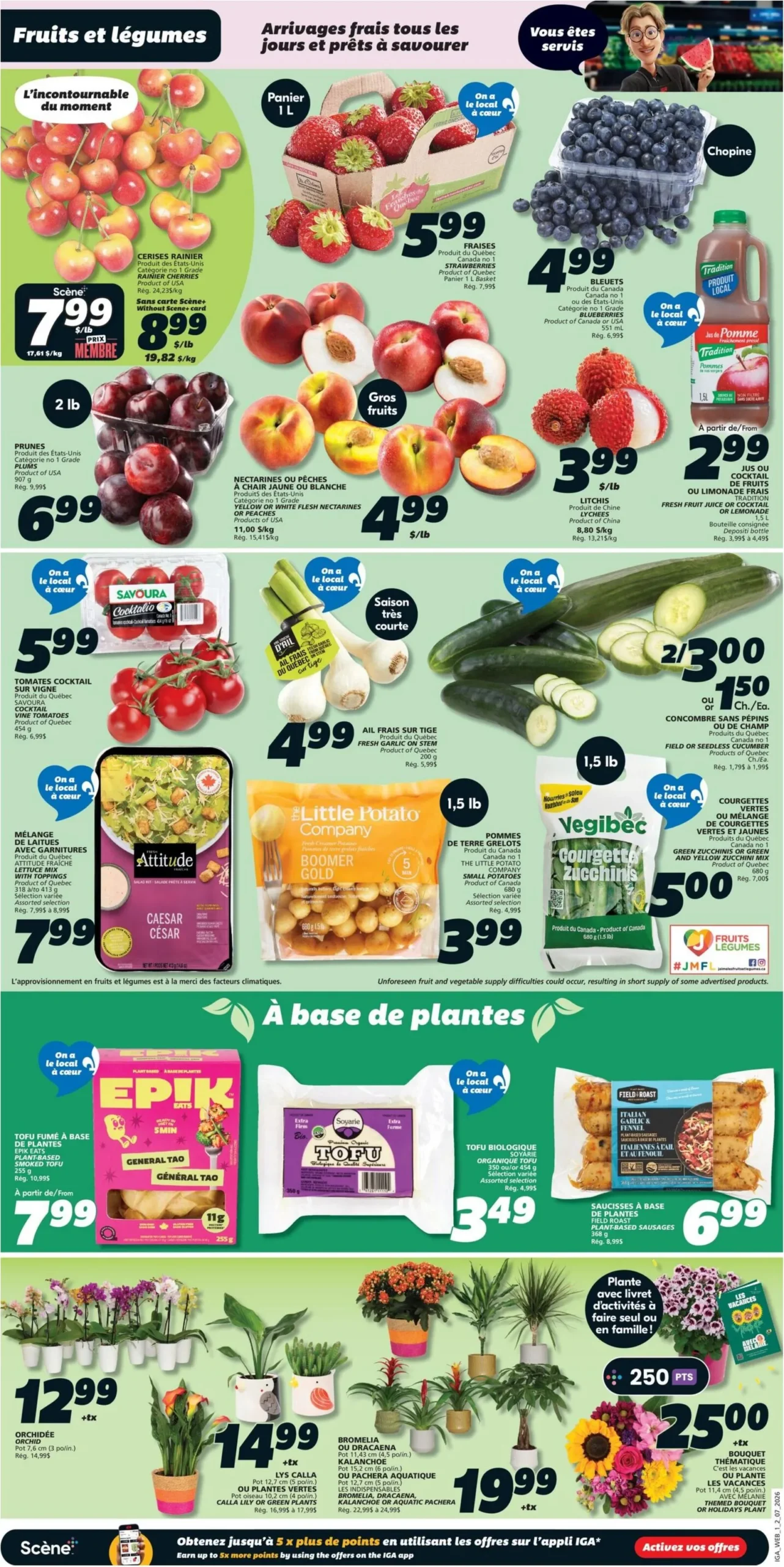 Page 3 de la circulaire IGA