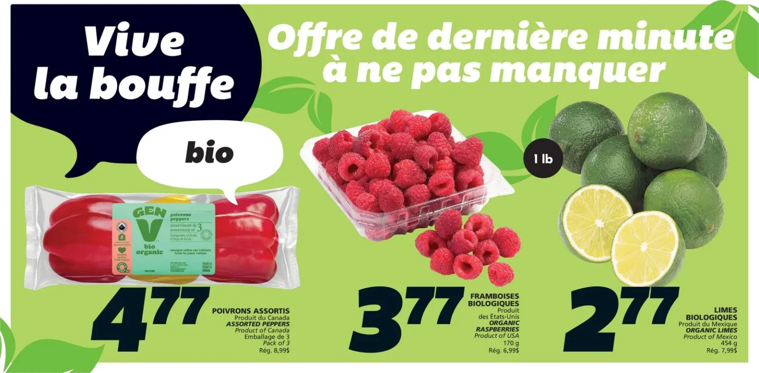 Page 4 de la circulaire IGA