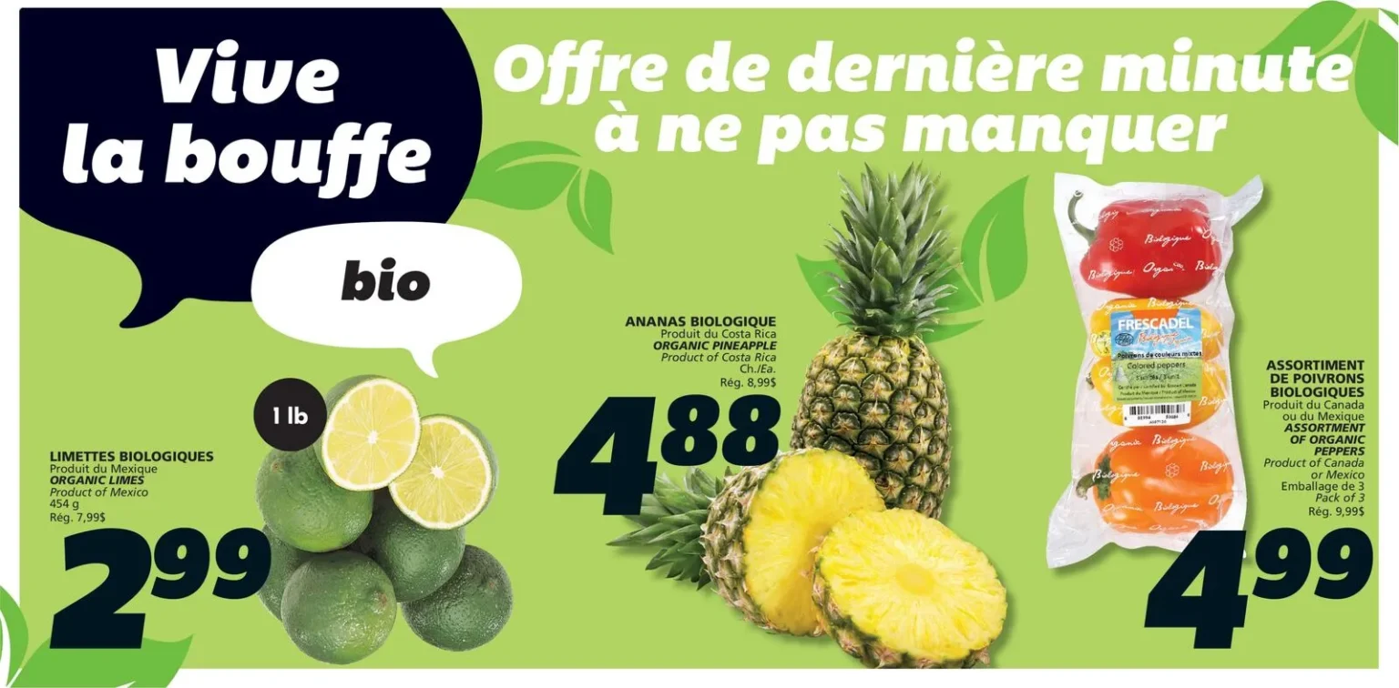 Page 4 de la circulaire IGA