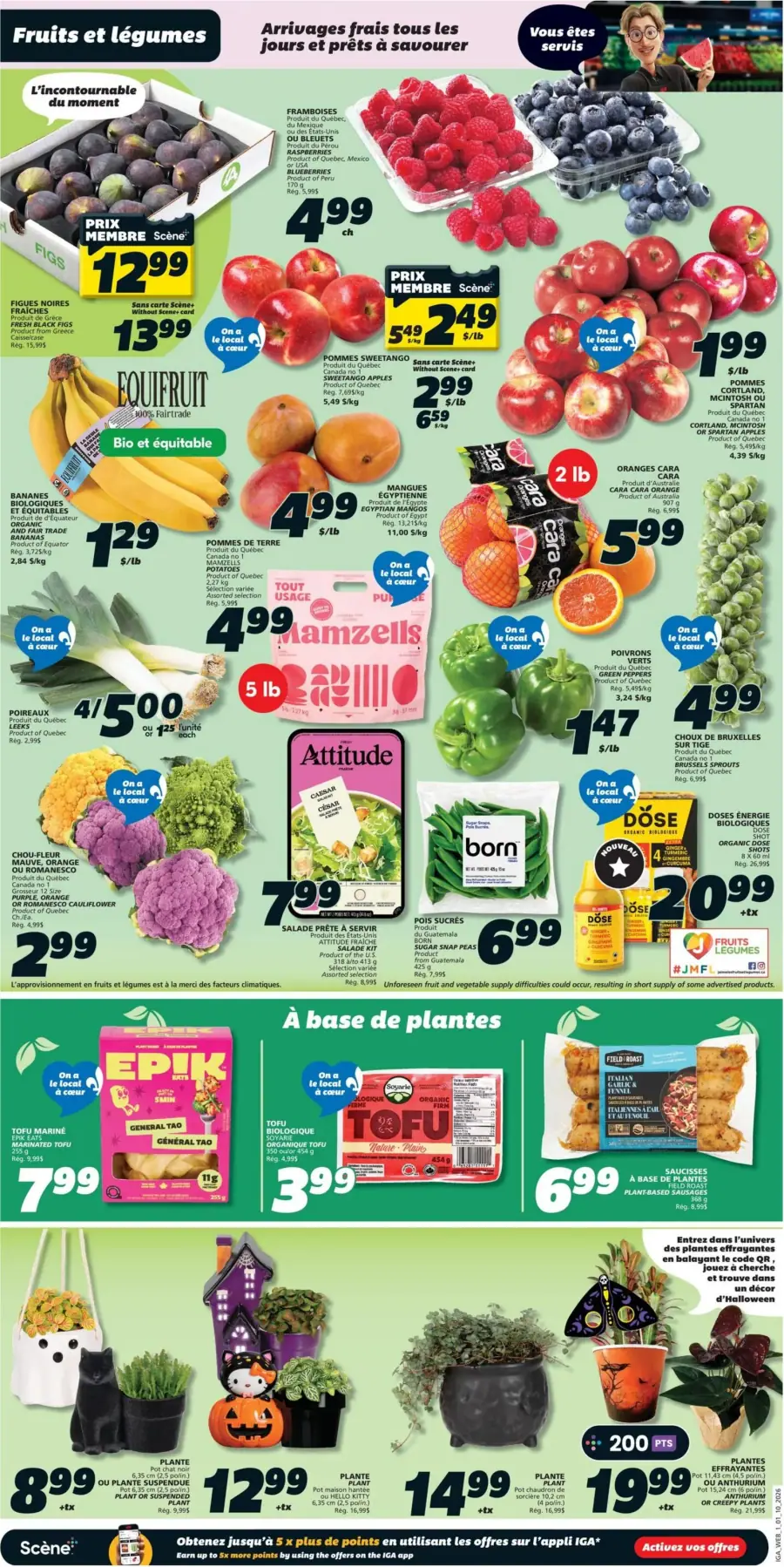 Page 3 de la circulaire IGA