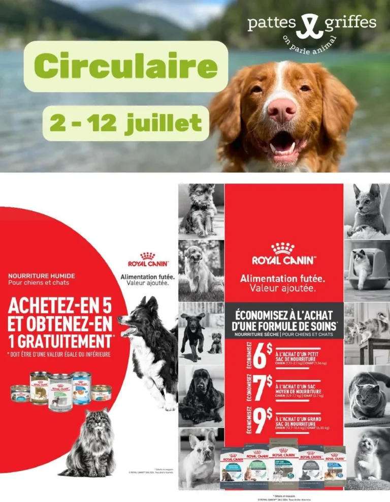 Page 1 de la circulaire Pattes Et Griffes