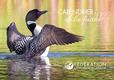 Recevez Gratuitement  votre nouveau Calendrier de la faune 2022 FCF
