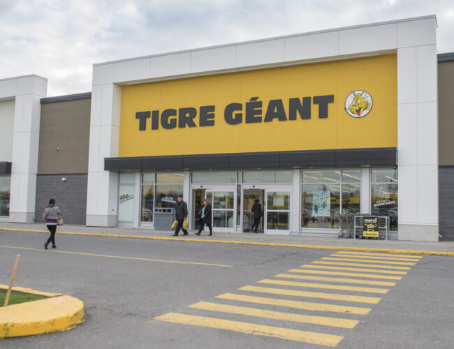 Concours : Remportez une carte-cadeau de 500 $ pour faire vos achats chez Tigre Géant et plus encore.