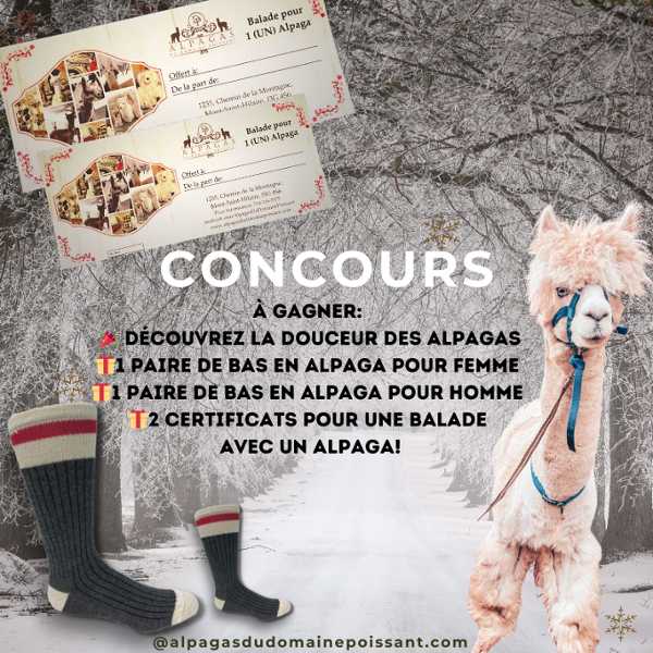 Lot De 4 Paires Chaussettes En Alpaga - Chaussettes Chaudes D'hiver, Tricot Norvégien - Pour Hommes Et Femmes - 5