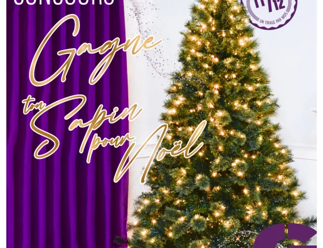 Participez au concours et ayez la chance de gagner un sapin de Noël de 7 pieds d&rsquo;une valeur de 250 $ !