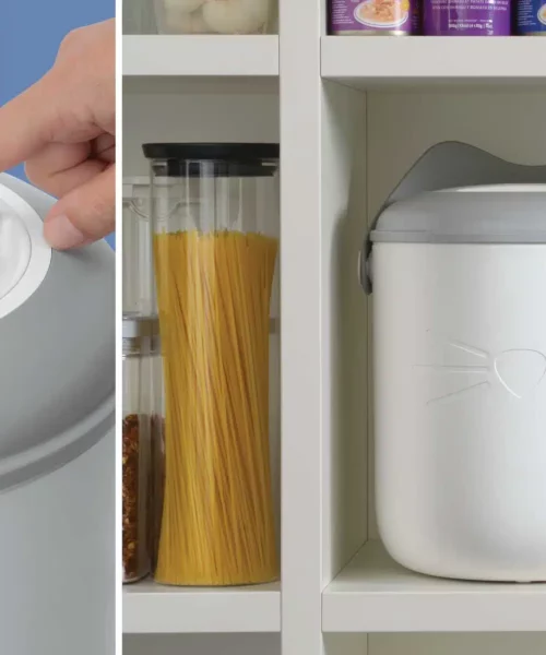 Test Gratuit Catit PIXI 2025 : Essayez le Contenant Sous Vide Intelligent pour Croquettes de Chat