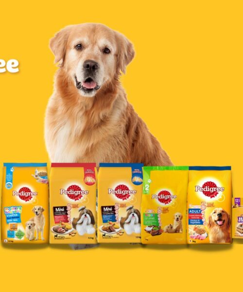 Offre Gratuite Pedigree 2025 : Recevez 3 Sachets Coupes de Choix pour Chien Sans Frais !